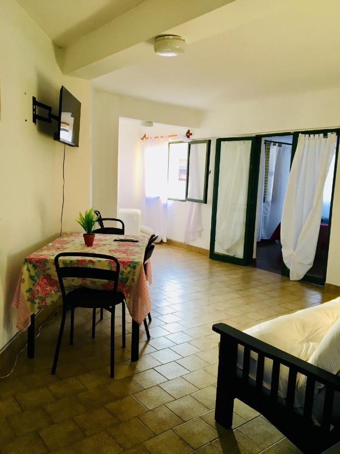 Live & Departamento En Centro De La Ciudad Apartment